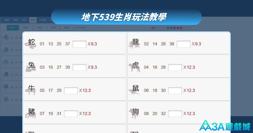 地下539生肖玩法